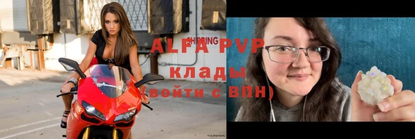 гашик Белоозёрский