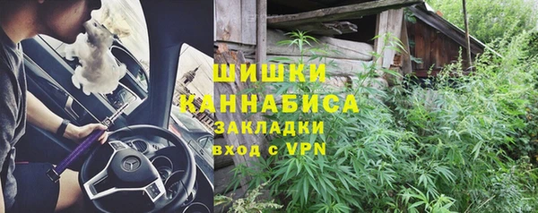 гашик Белоозёрский