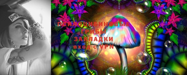 гашик Белоозёрский