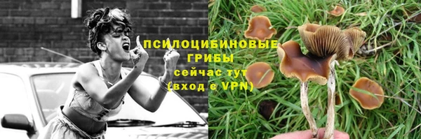 гашик Белоозёрский
