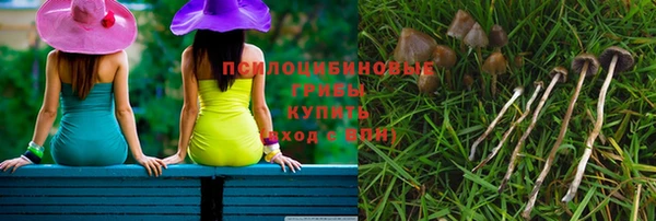 ALPHA-PVP Белокуриха