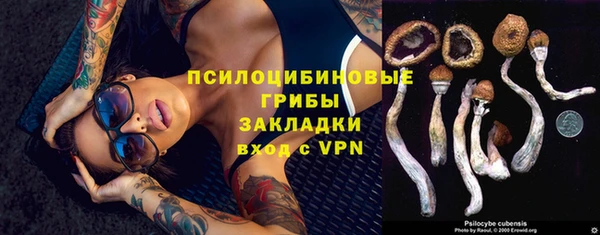 ALPHA-PVP Белокуриха