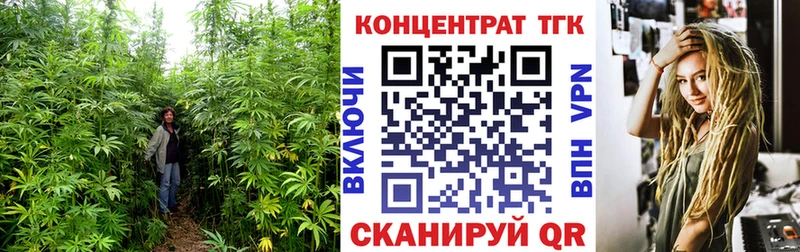 ТГК THC oil Брюховецкая
