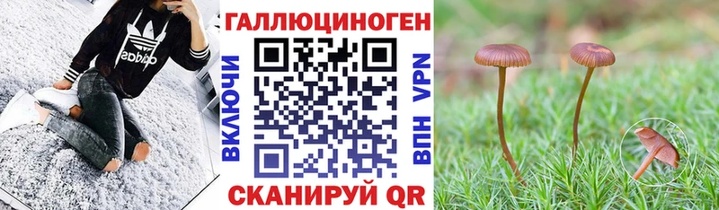 Псилоцибиновые грибы Magic Shrooms блэк спрут сайт Брюховецкая